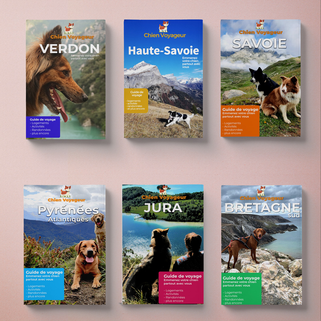 Pack de 6 guides