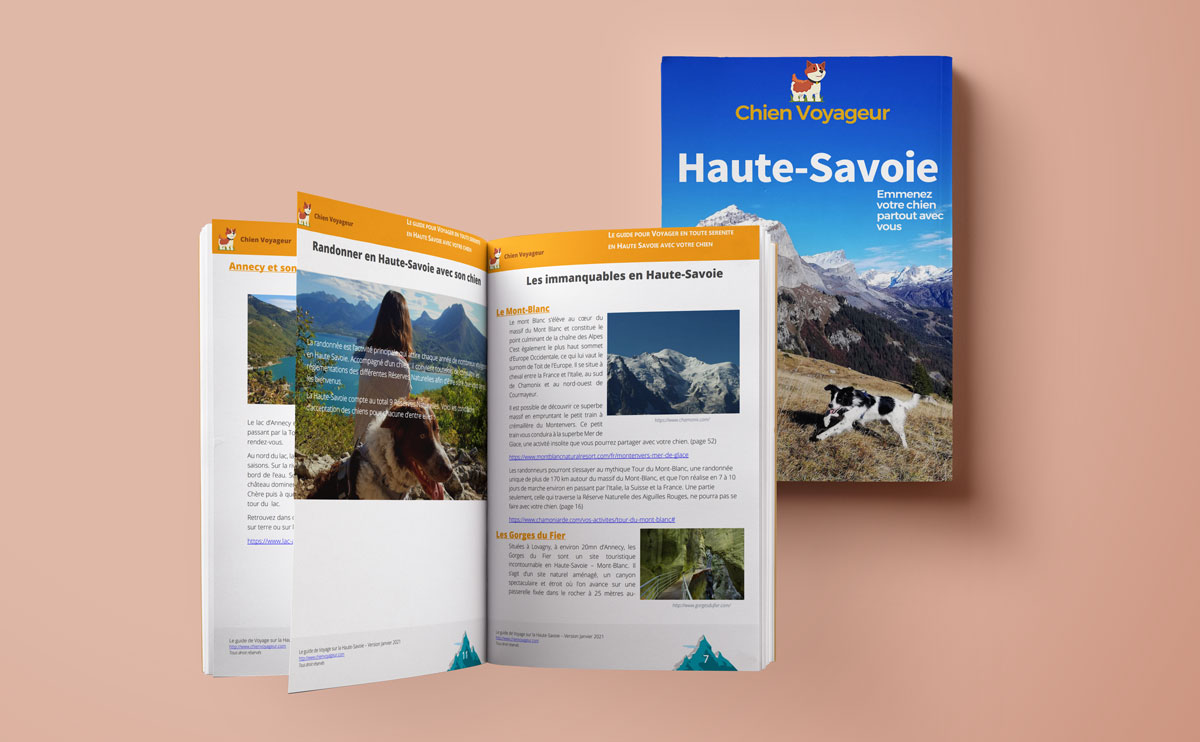 Guide haute savoie avec son chien