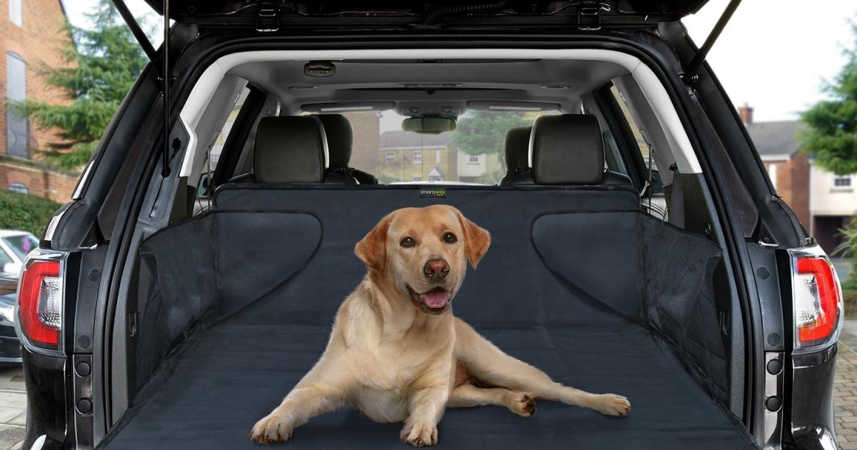 La Fille Sur Le Coffre à Bagages John O'hara Chien en voiture, choisir le lit pour coffre