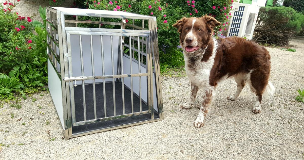 Cage de transport confortable pour chien