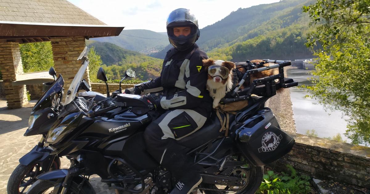 Casque de moto & Lunette motard pour chiens - Petits Compagnons