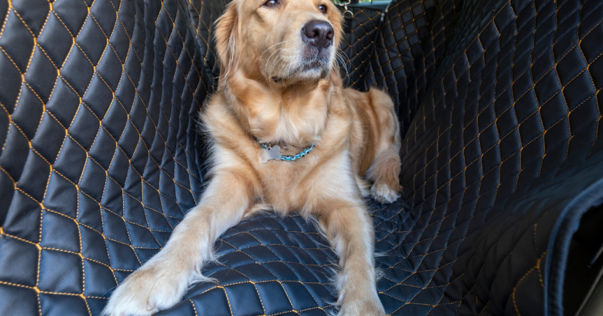 Acheter Siège de voiture pour chien lit canapé voyage chien sièges