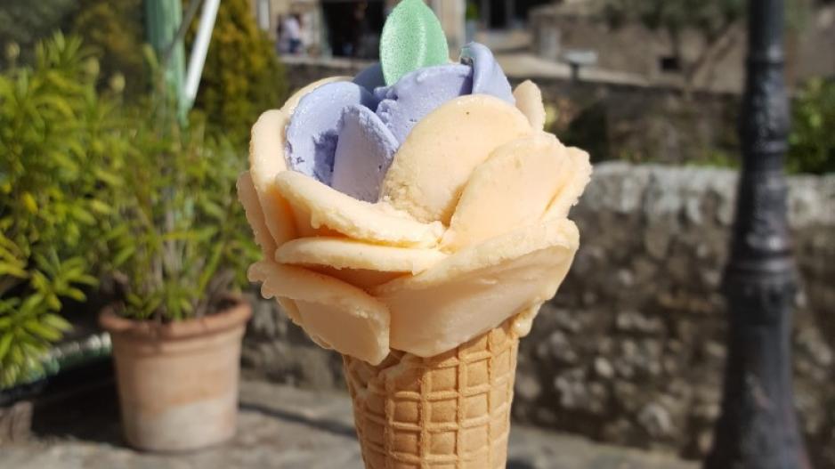 glace glace