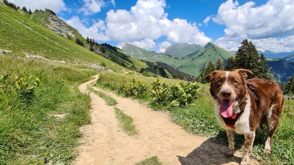 haute savoie haute savoie