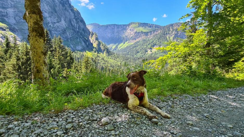 haute savoie haute savoie