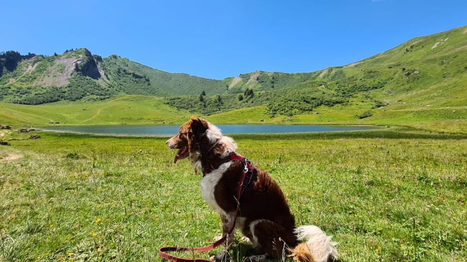 lac de roy lac de roy