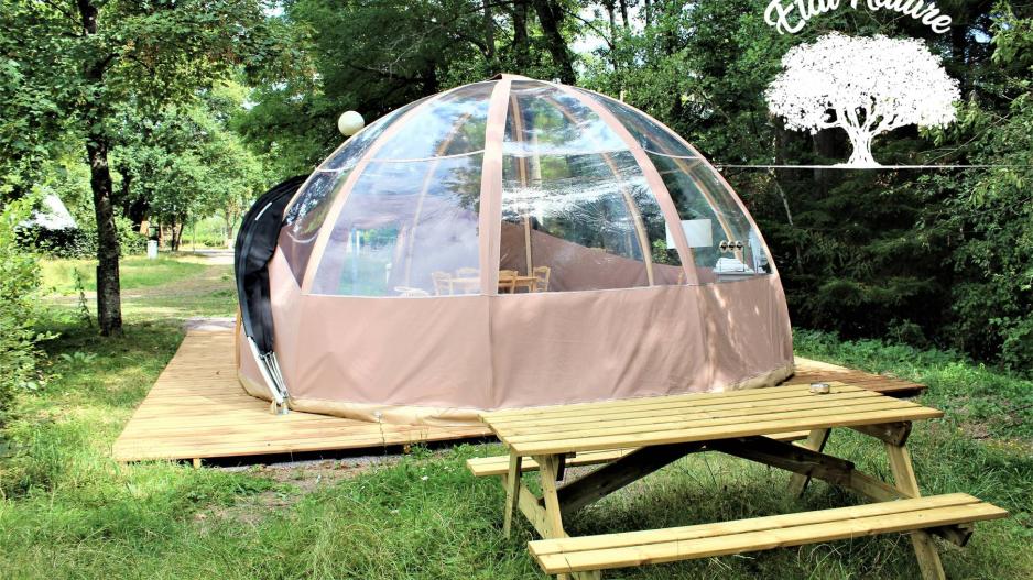 bulle bulle