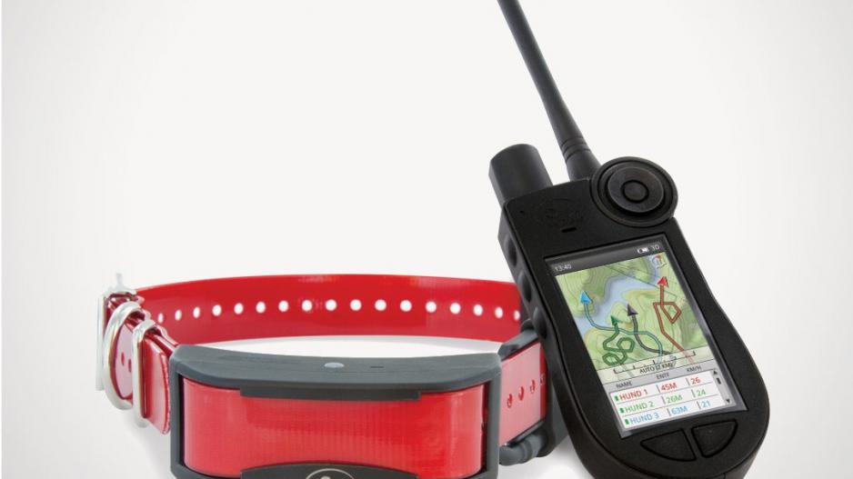 💥 Meilleurs GPS pour chien 2022 - guide d'achat et comparatif