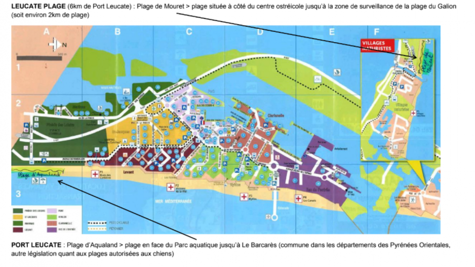 plage leucate chiens plage leucate chiens