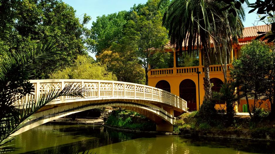 parque da cidade parque da cidade