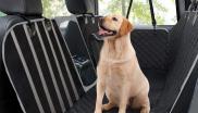 Housse de siège pour chien en voiture