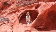 chien dans une grotte