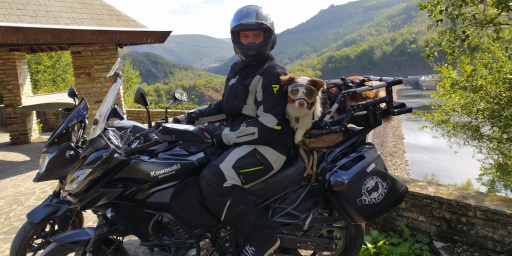 Faire de la moto avec un gros chien, c'est possible ! 🐶🏍