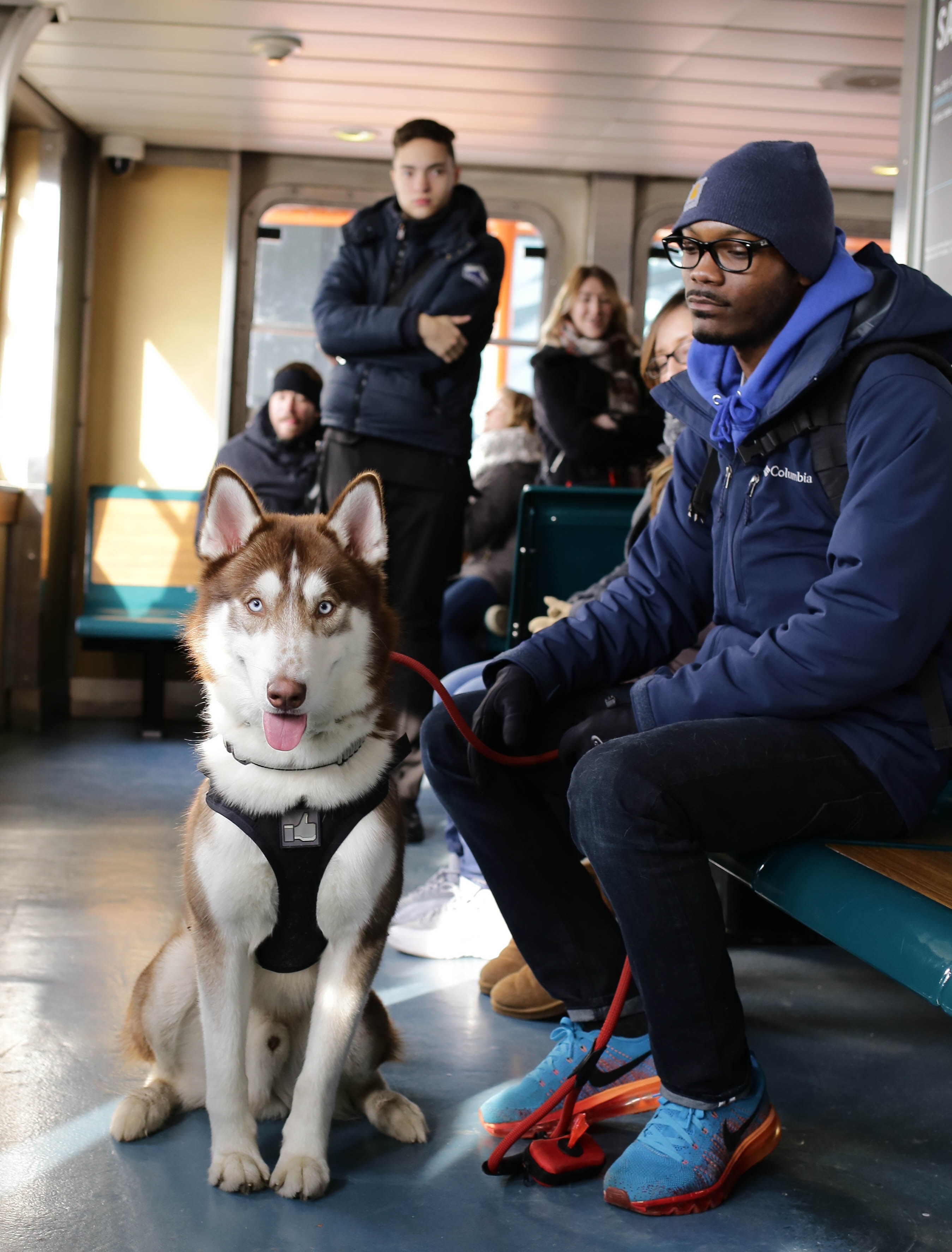 Prendre le train avec son chien