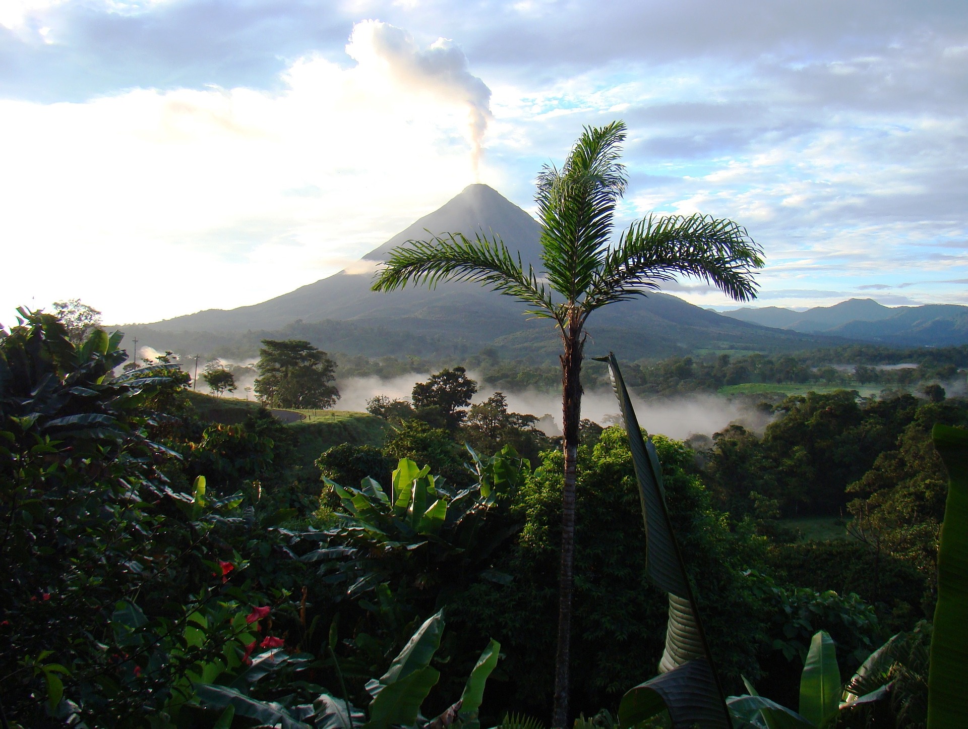 Partir au Costa Rica avec son chien