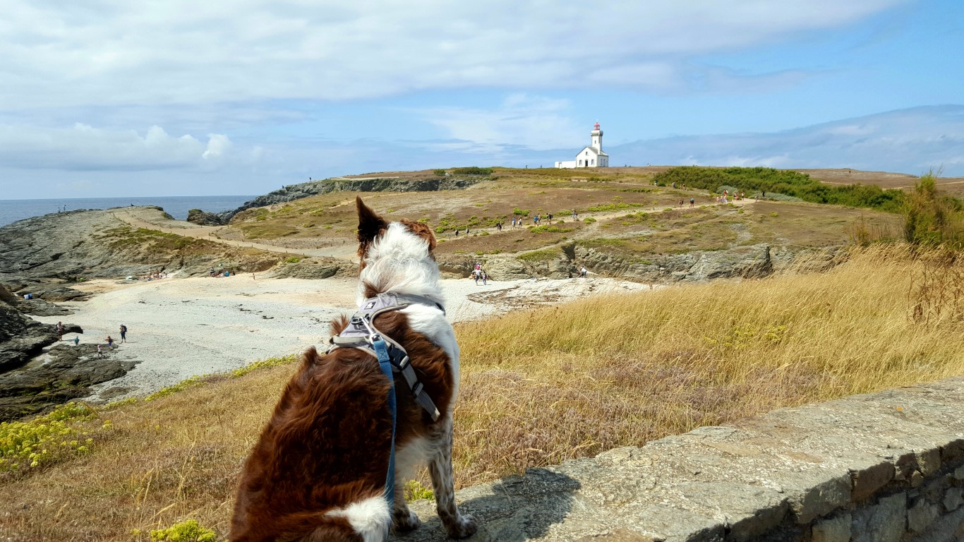 Belle Ile en Mer avec son chien
