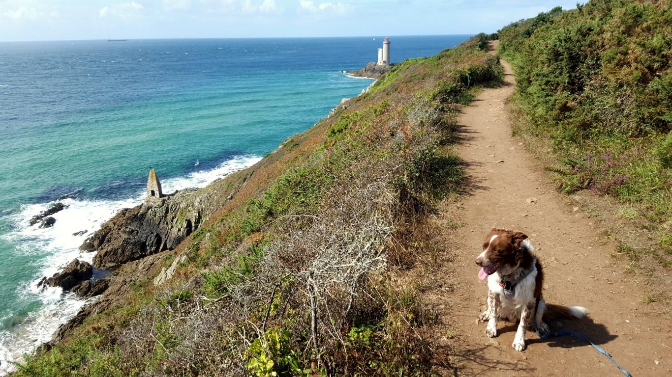 Le Finistère Nord avec son chien