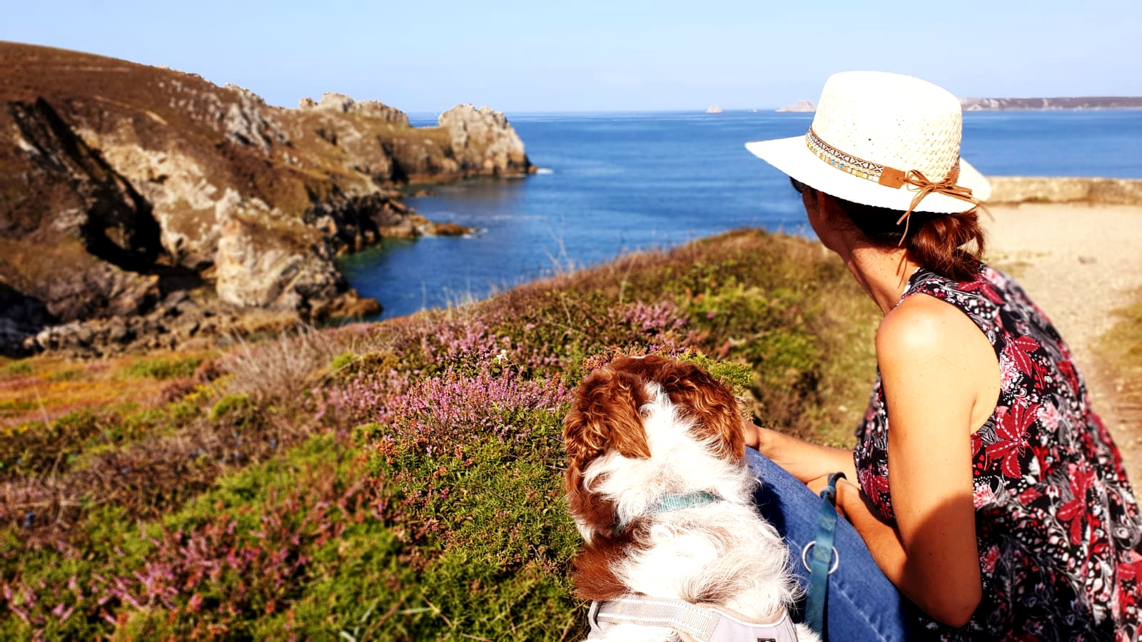 Le Finistère Sud avec son chien