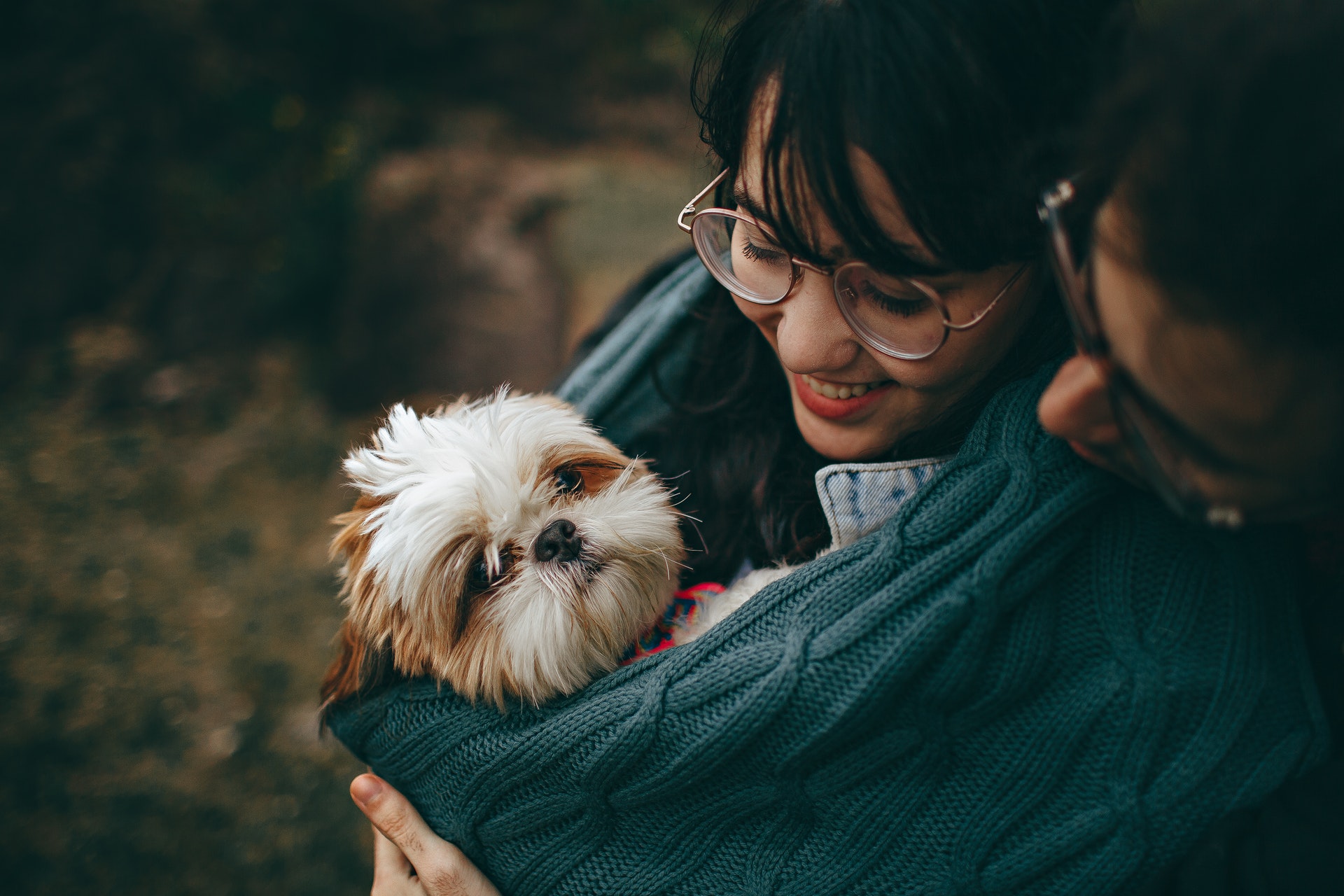 Sac de transport pour chiens : le sac ventral