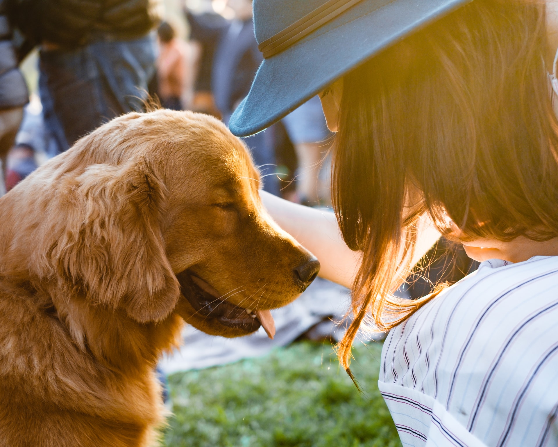 La communication chez le chien