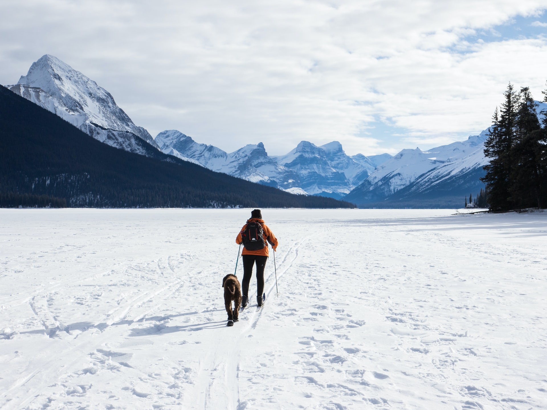 Partir au ski avec son chien