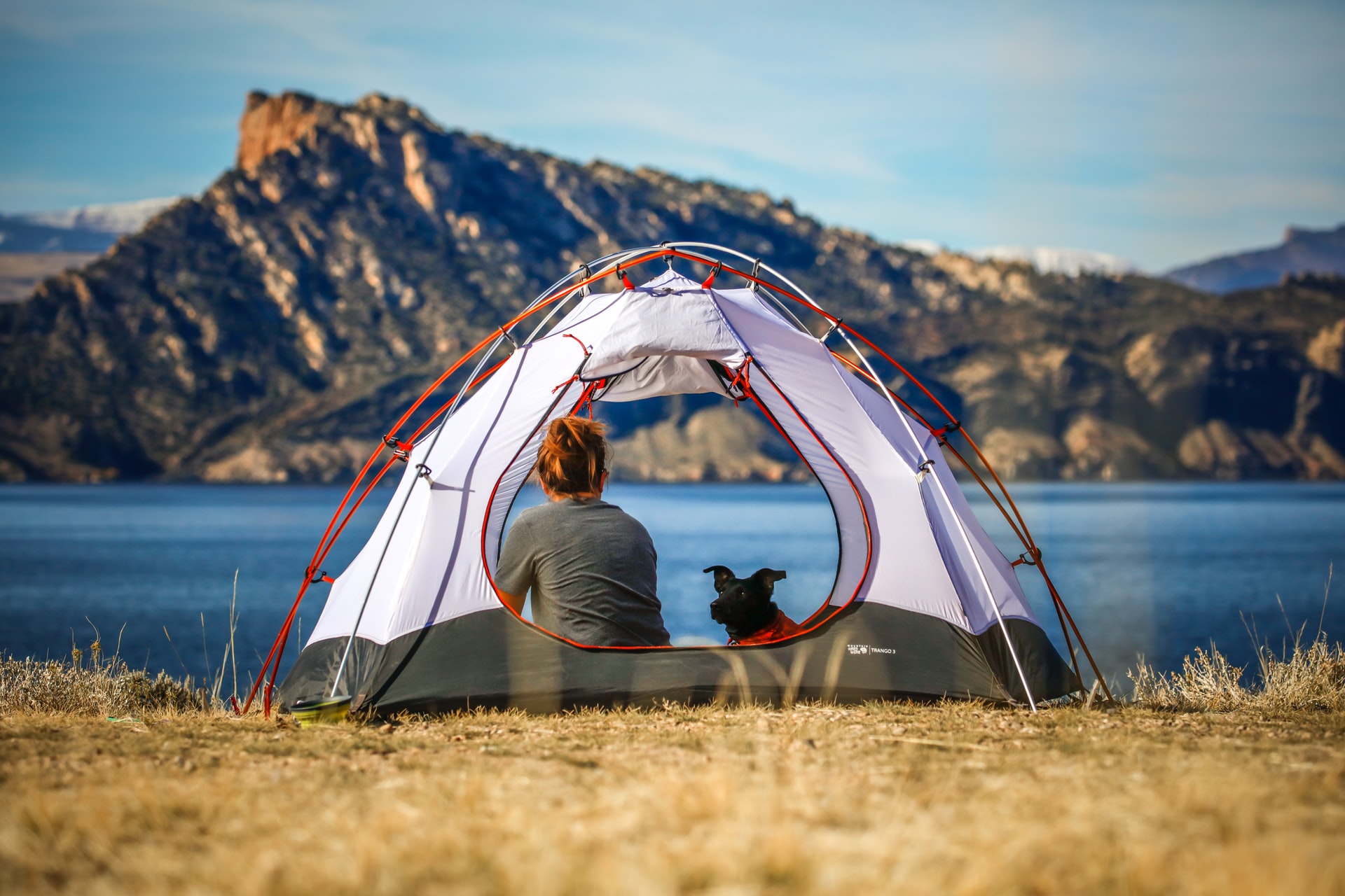 Vacances au camping avec votre chien