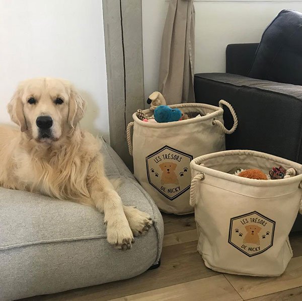 Accessoires de voyage pour chiens