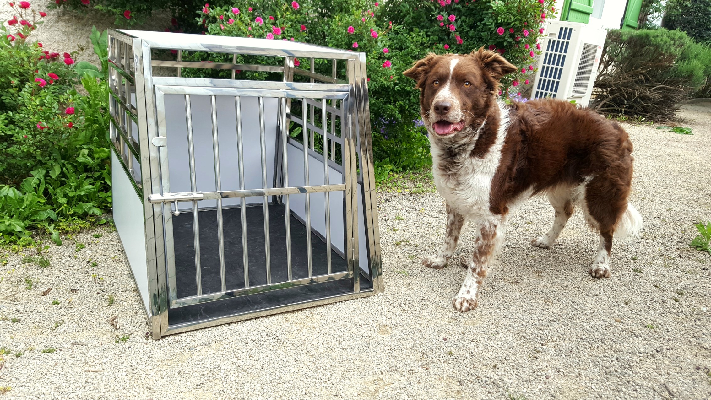 La cage de transport métallique pour chiens