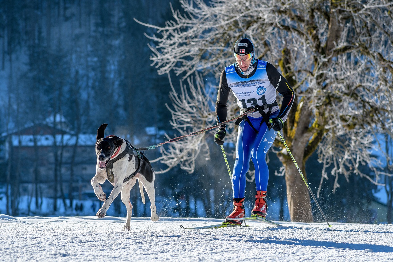 Sports d'hiver : le ski joering