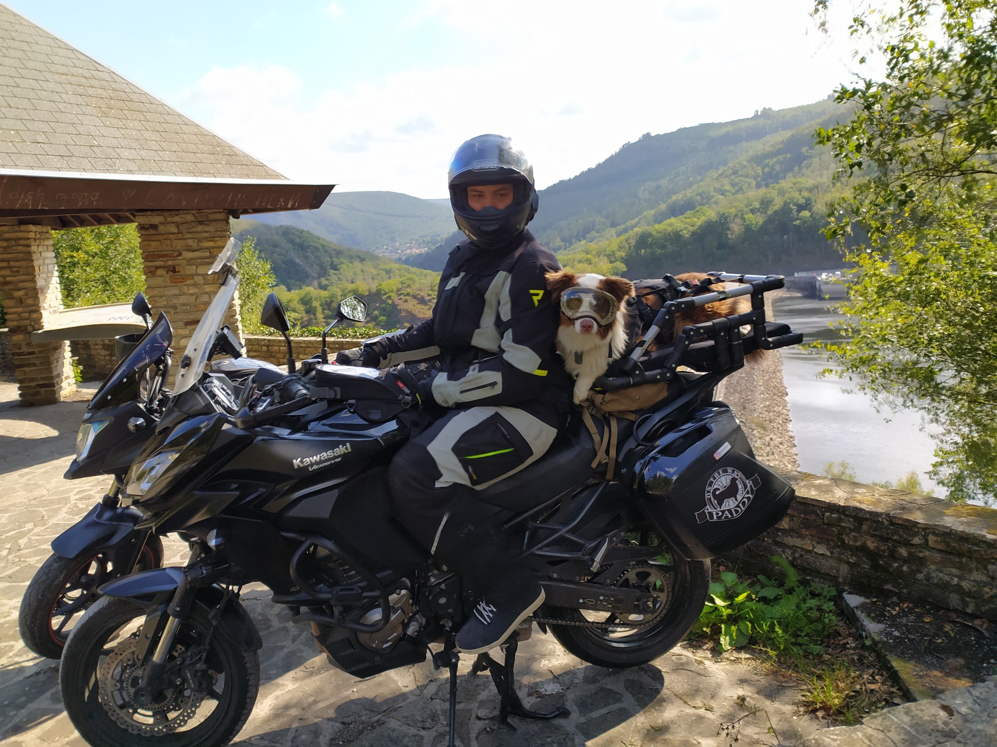 Voyager à moto avec son chien
