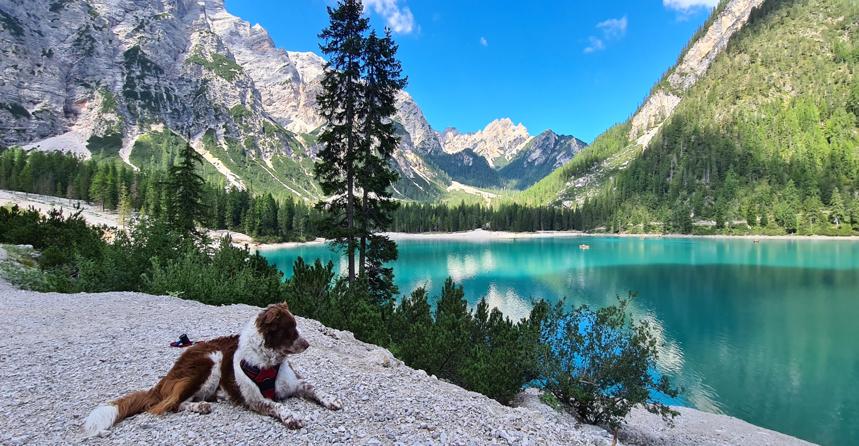 Visiter les Dolomites avec son chien