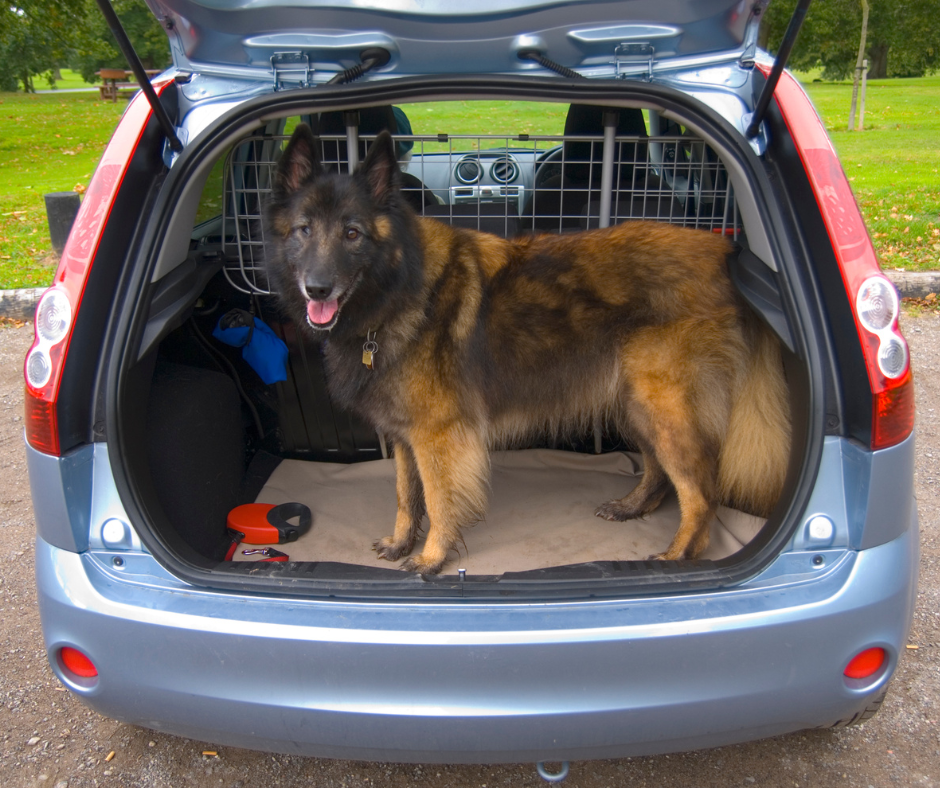 La grille de séparation voiture pour chiens