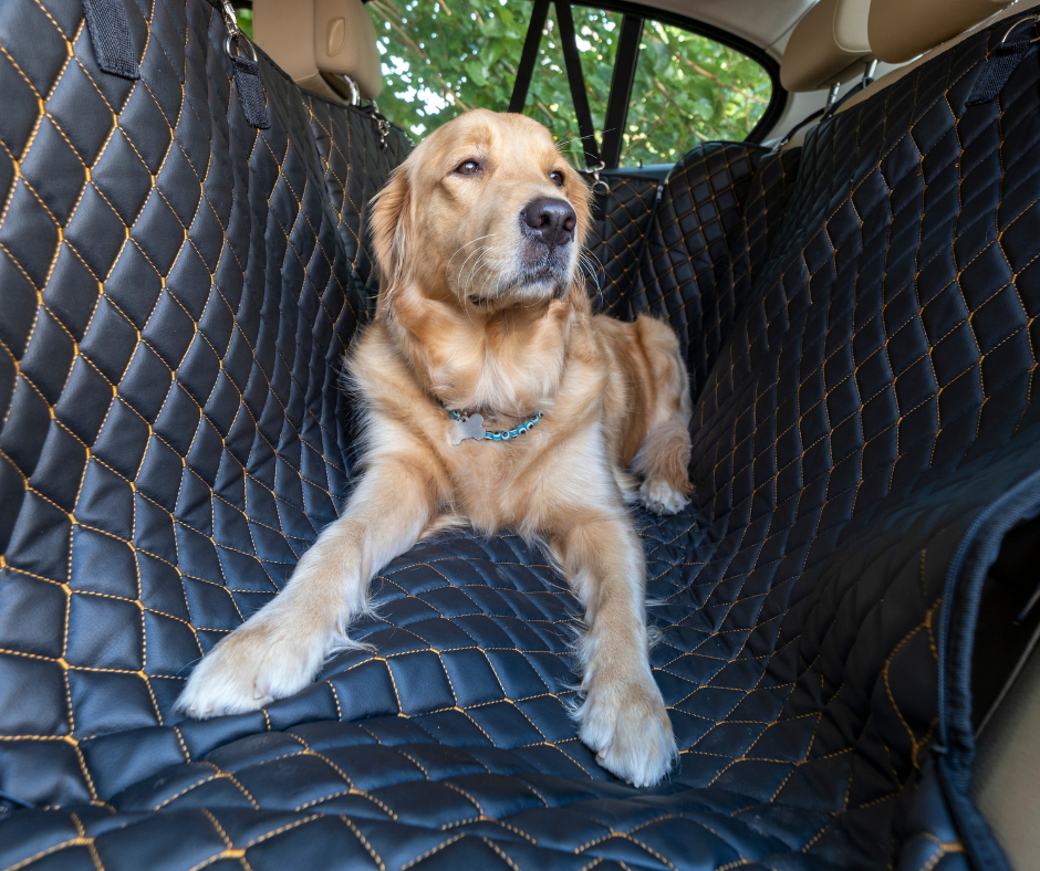 La protection de sièges voiture pour chiens