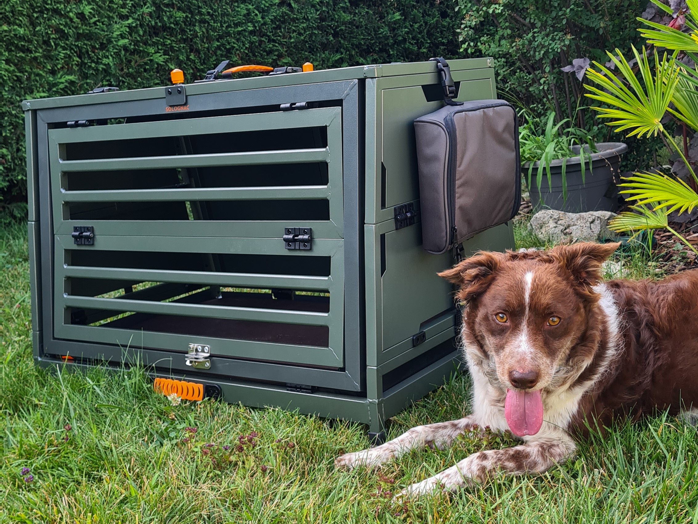 Cage de transport pliable pour chiens