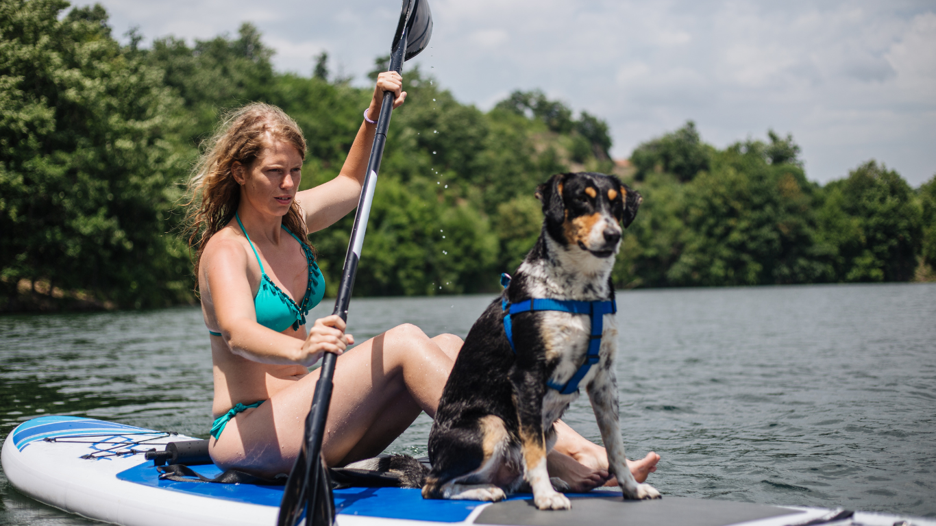 Faire du stand up paddle avec son chien