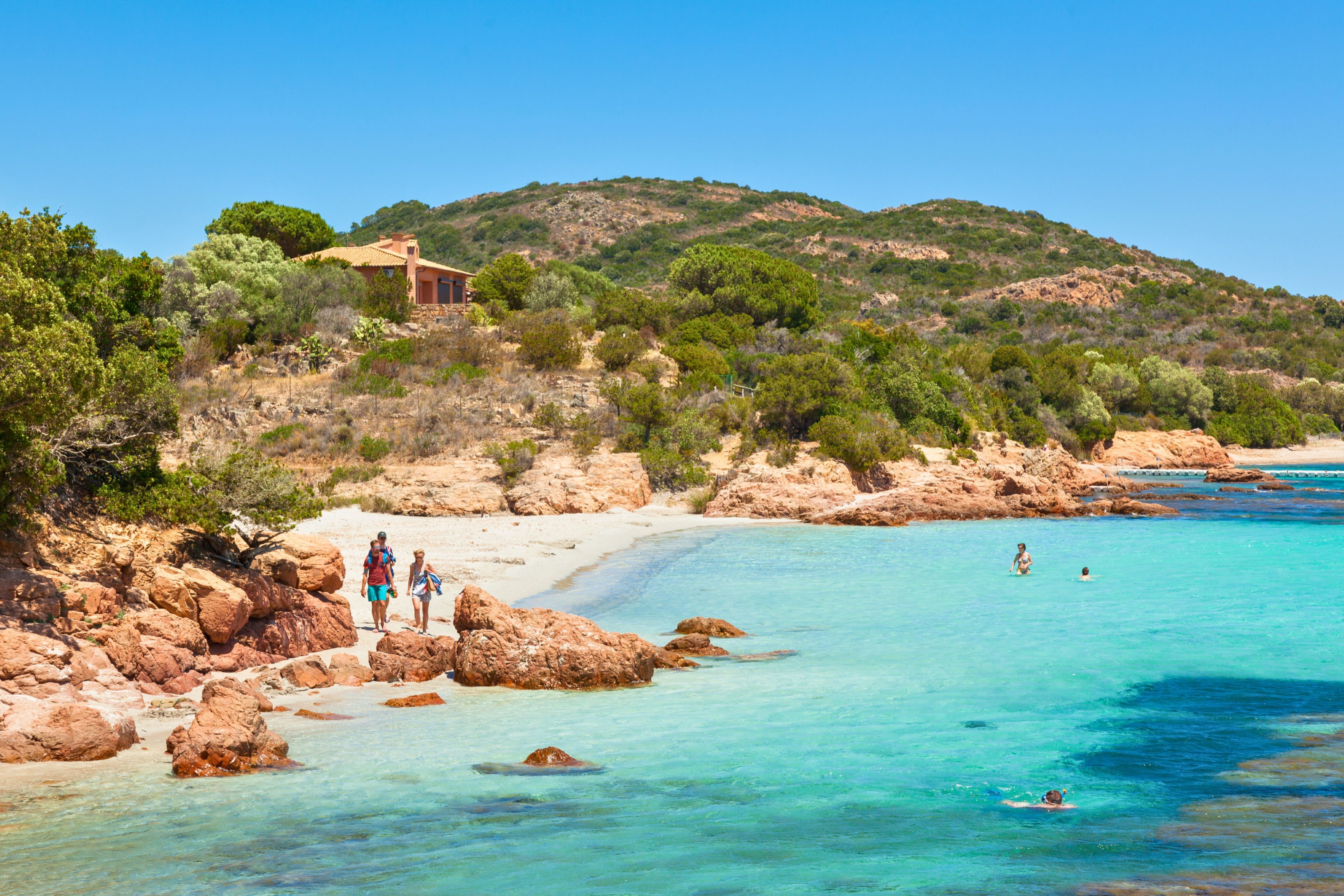 Partir en Corse avec son chien : hébergements, plages et activités