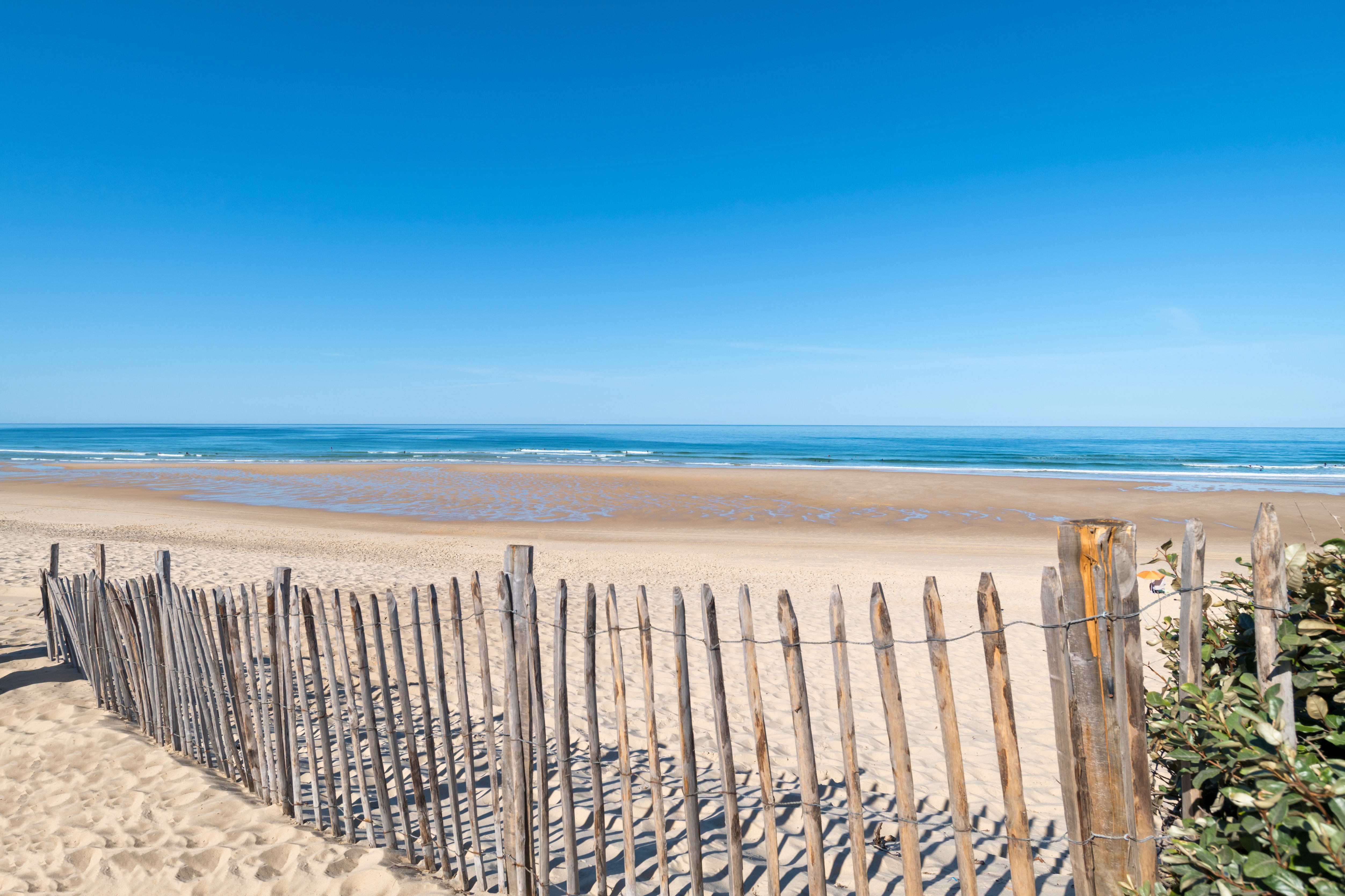 Vacances dans les Landes avec votre chien