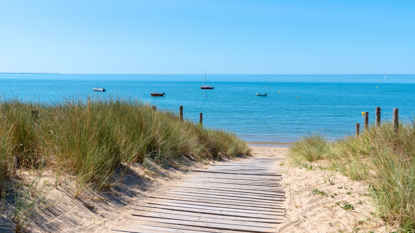 Vacances en Vendée avec votre chien