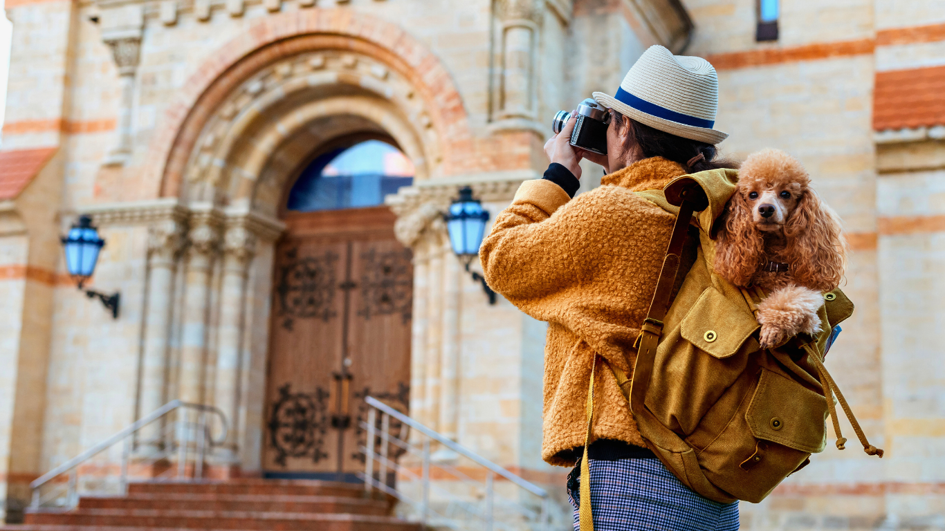 Cinq destinations en Europe où l’on peut voyager avec son chien
