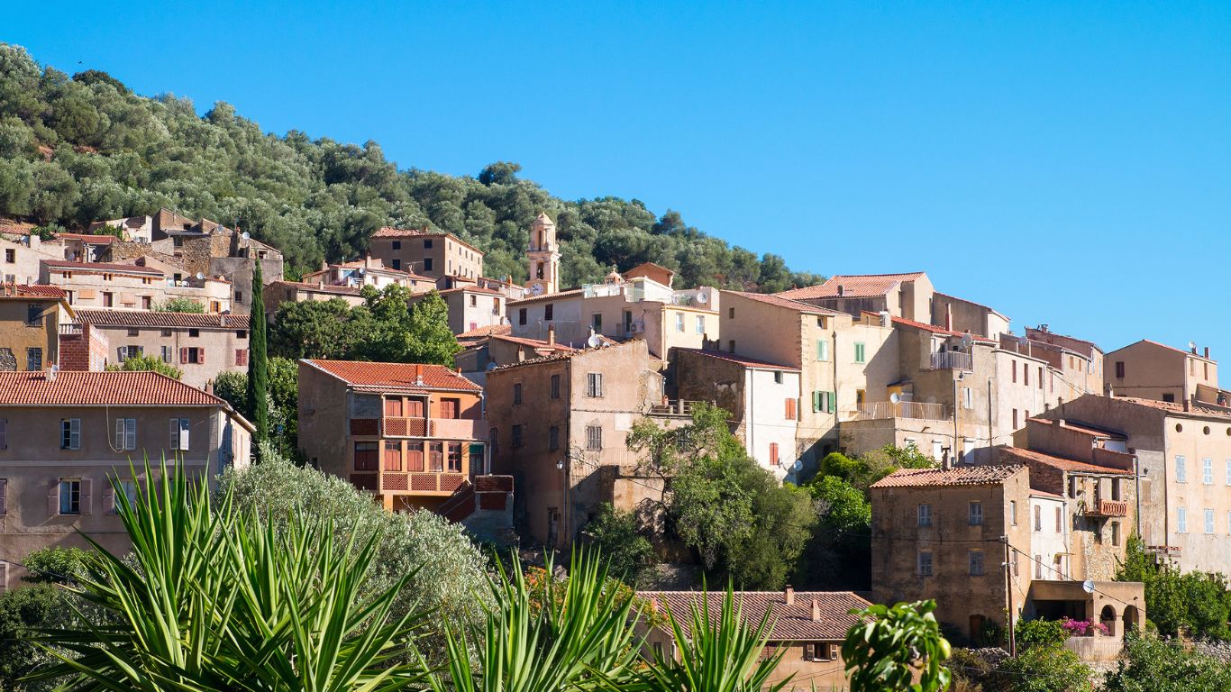 Profitez de la Balagne accompagné de votre fidèle compagnon