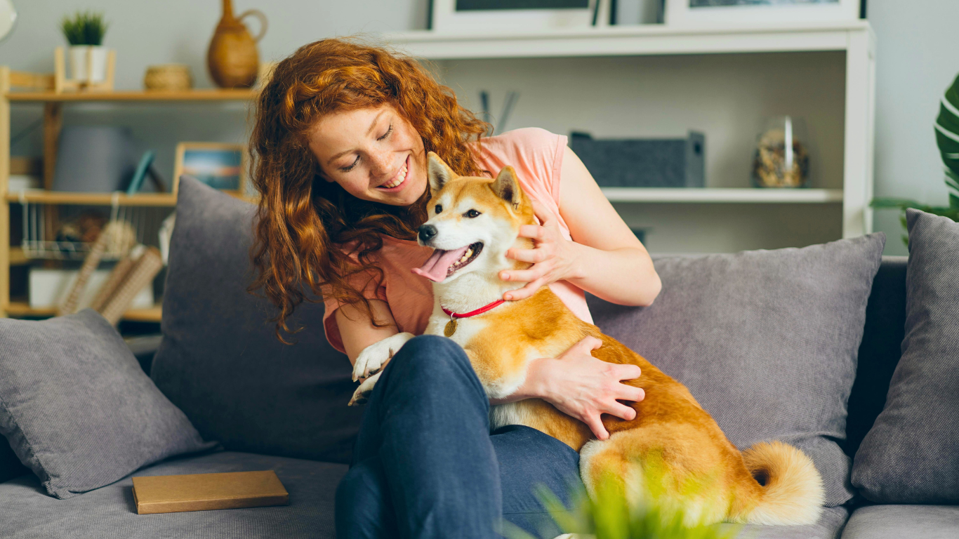Voyager avec son chien, une aventure qui se prépare