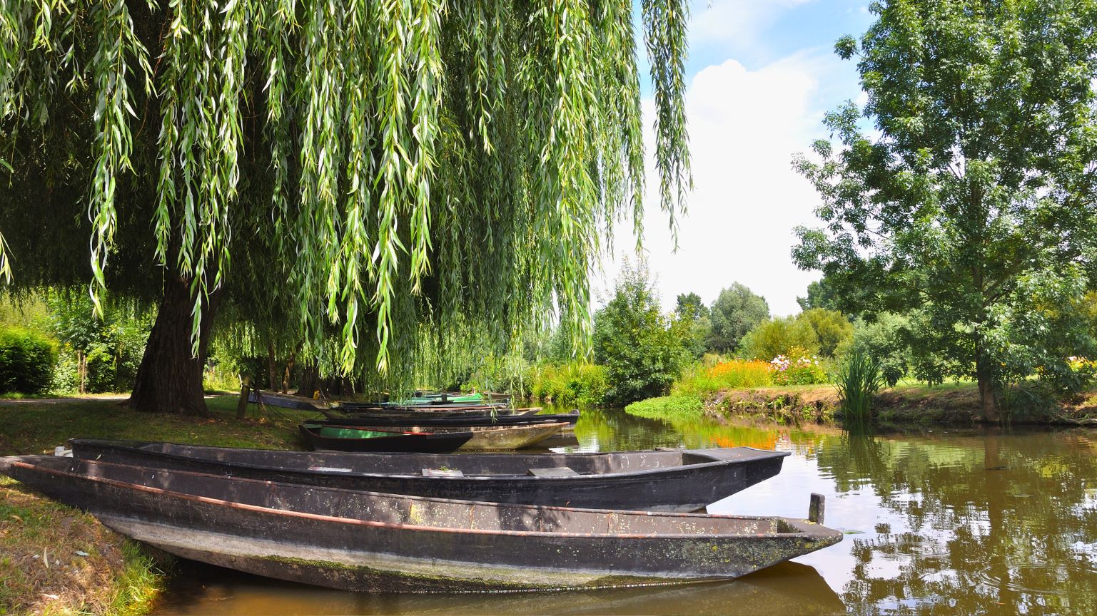 Visitez le Marais Poitevin avec votre chien