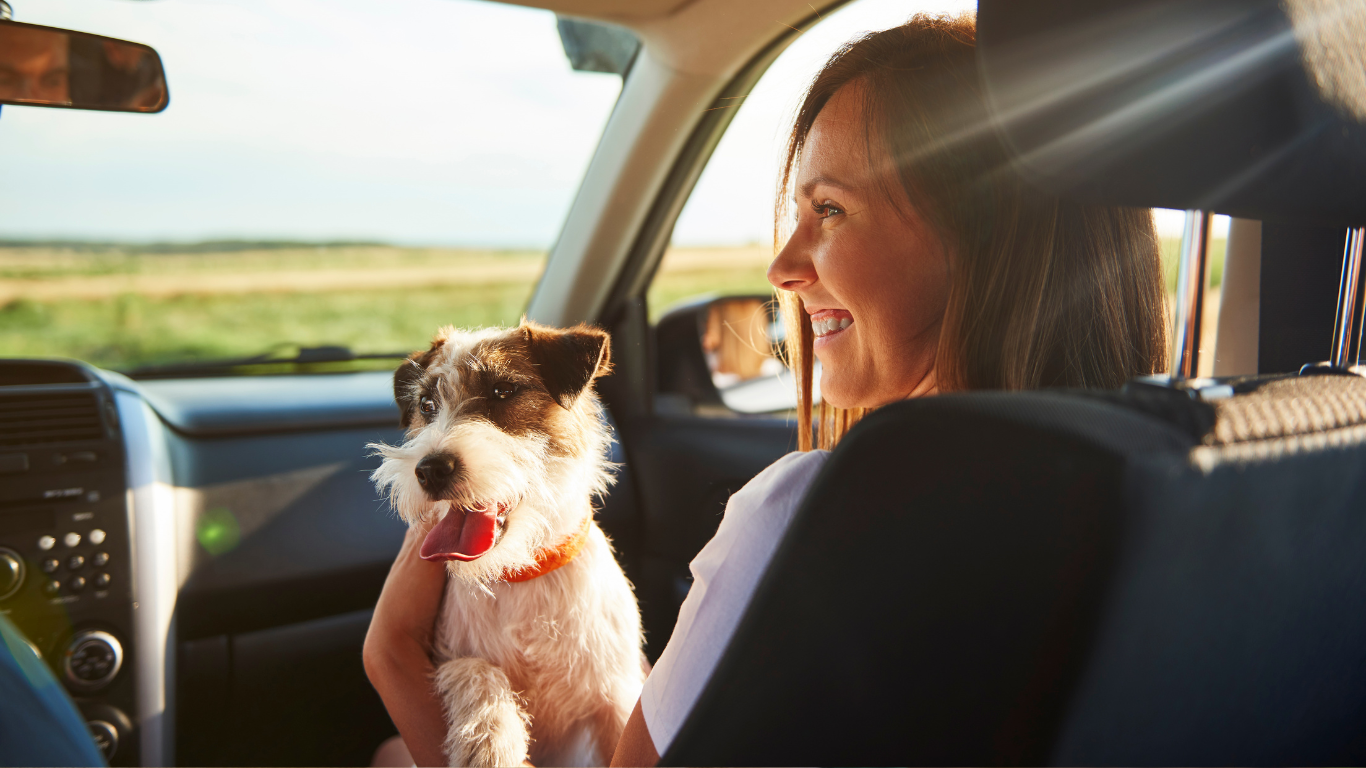Chien voyageur : bien s'assurer avant de partir à l'aventure