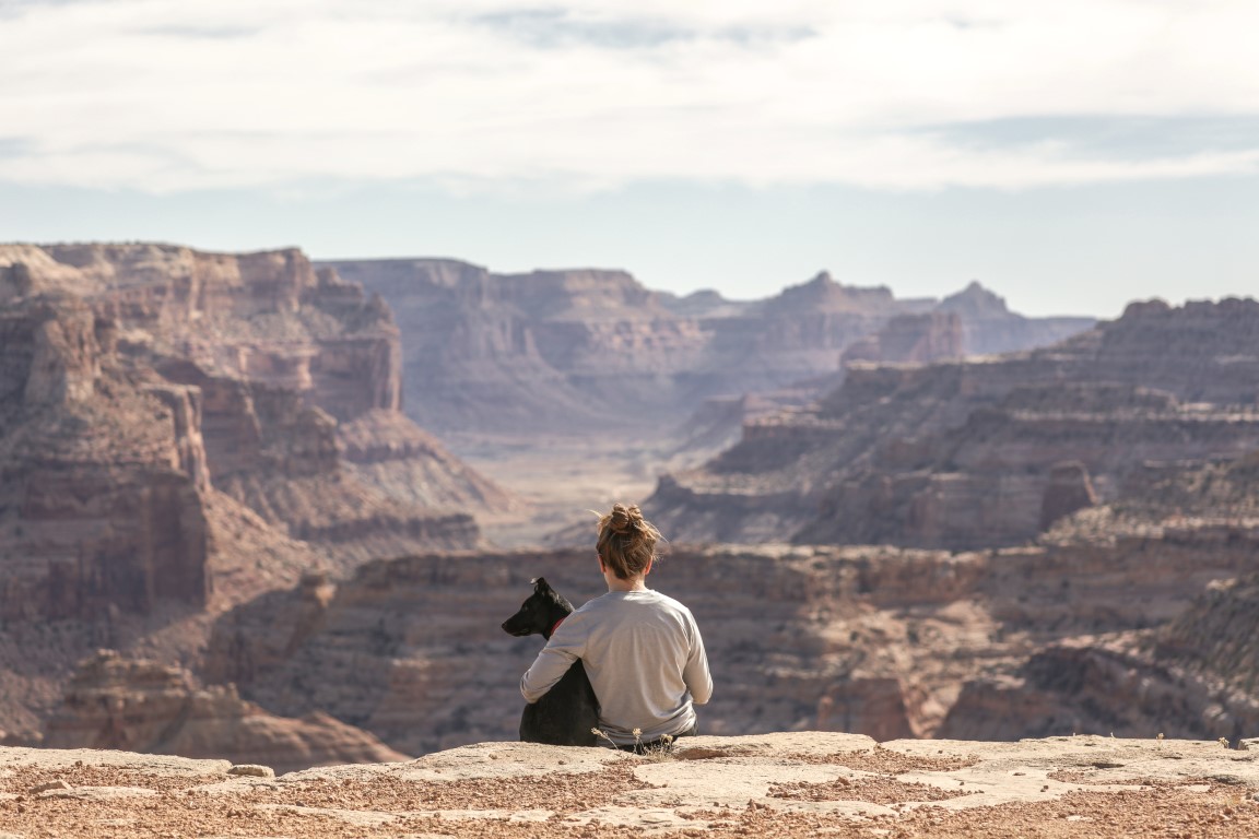 chien grand canyon