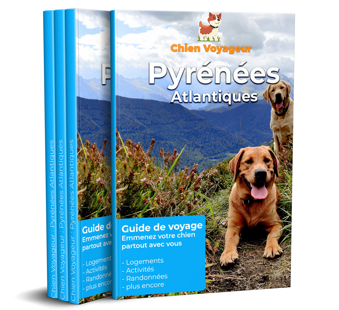 pyrénées