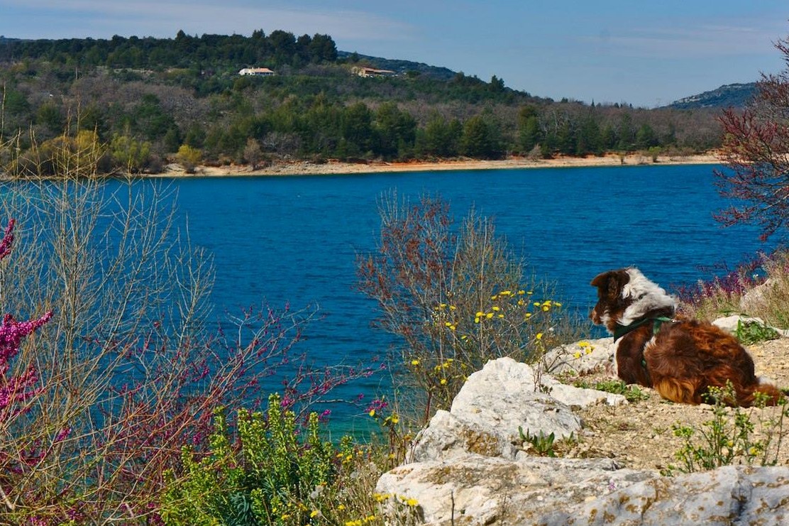 verdon