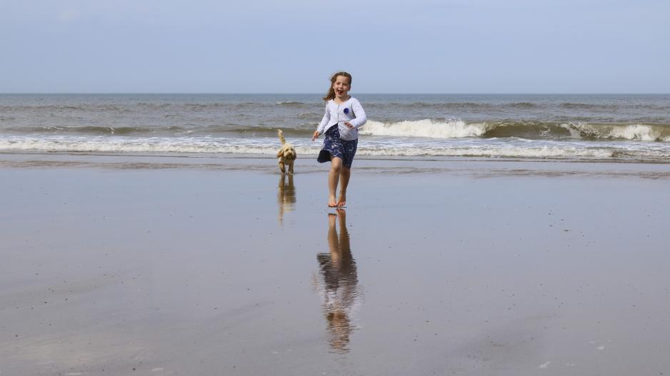 chien enfant plage chien enfant plage
