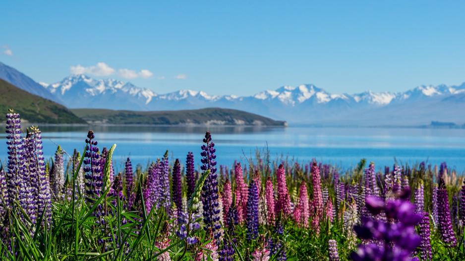 lake tekapo lake tekapo