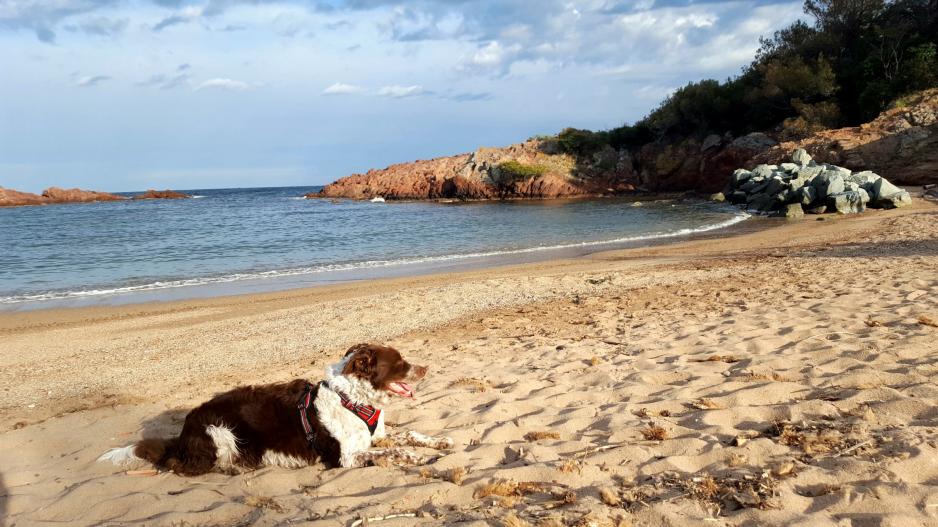 plage plage