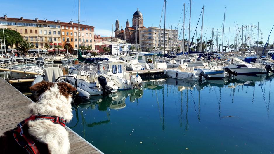 saint raphael saint raphael
